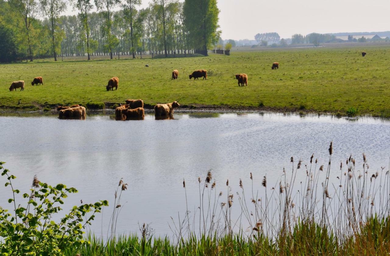 Artistiek Vakantiehuisje Hulst Exteriör bild