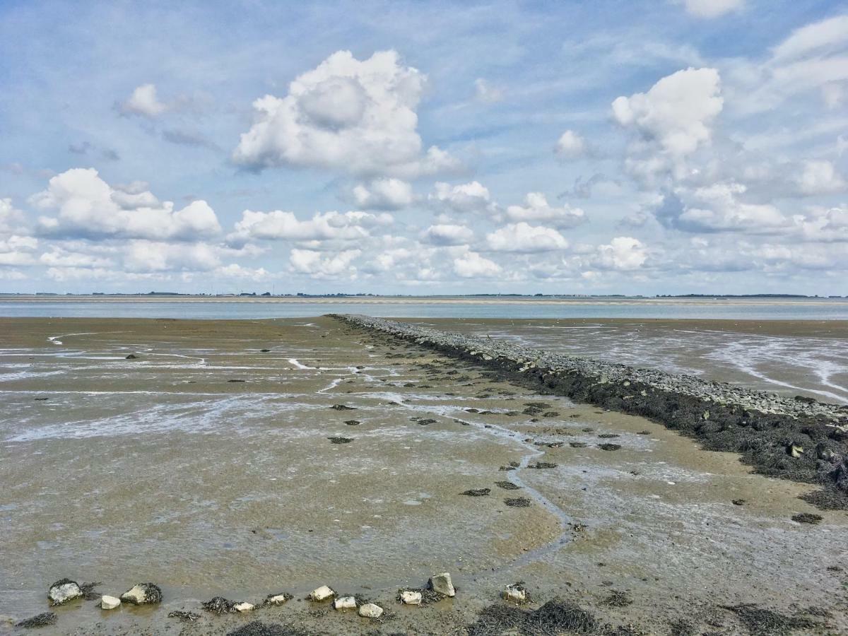 Artistiek Vakantiehuisje Hulst Exteriör bild