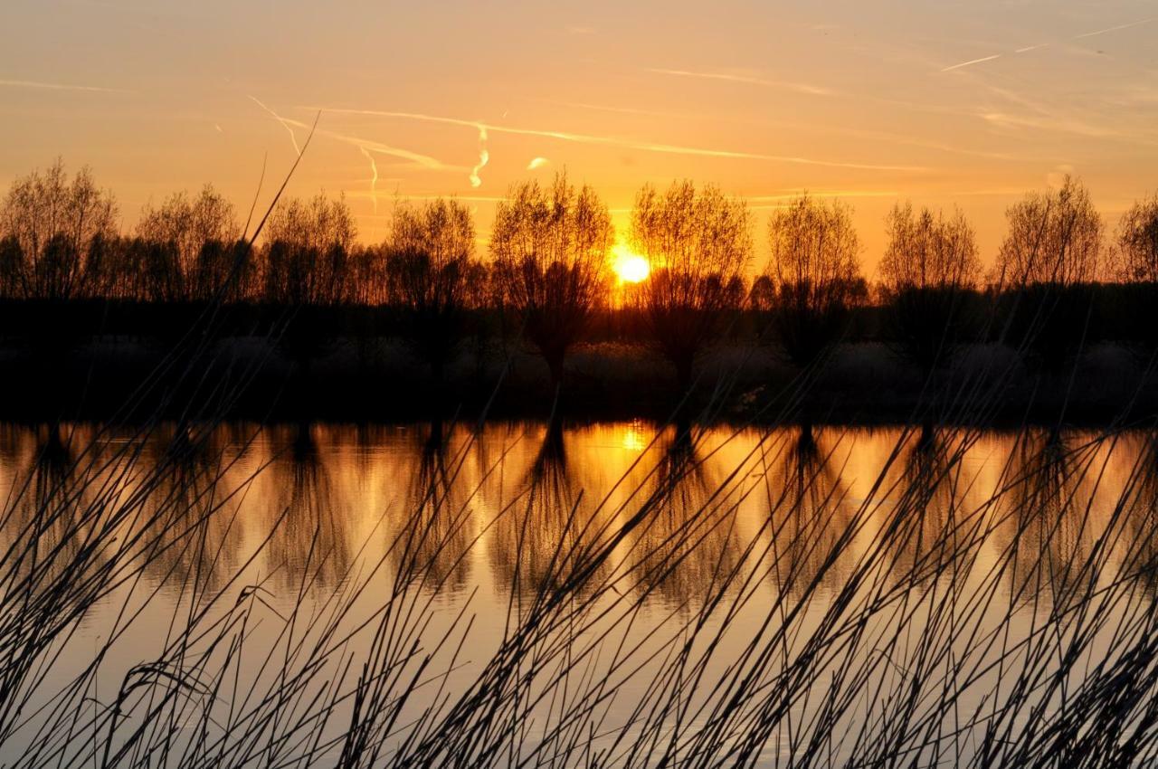 Artistiek Vakantiehuisje Hulst Exteriör bild