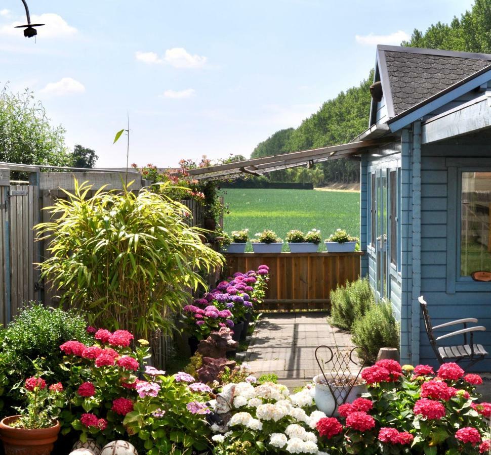 Artistiek Vakantiehuisje Hulst Exteriör bild