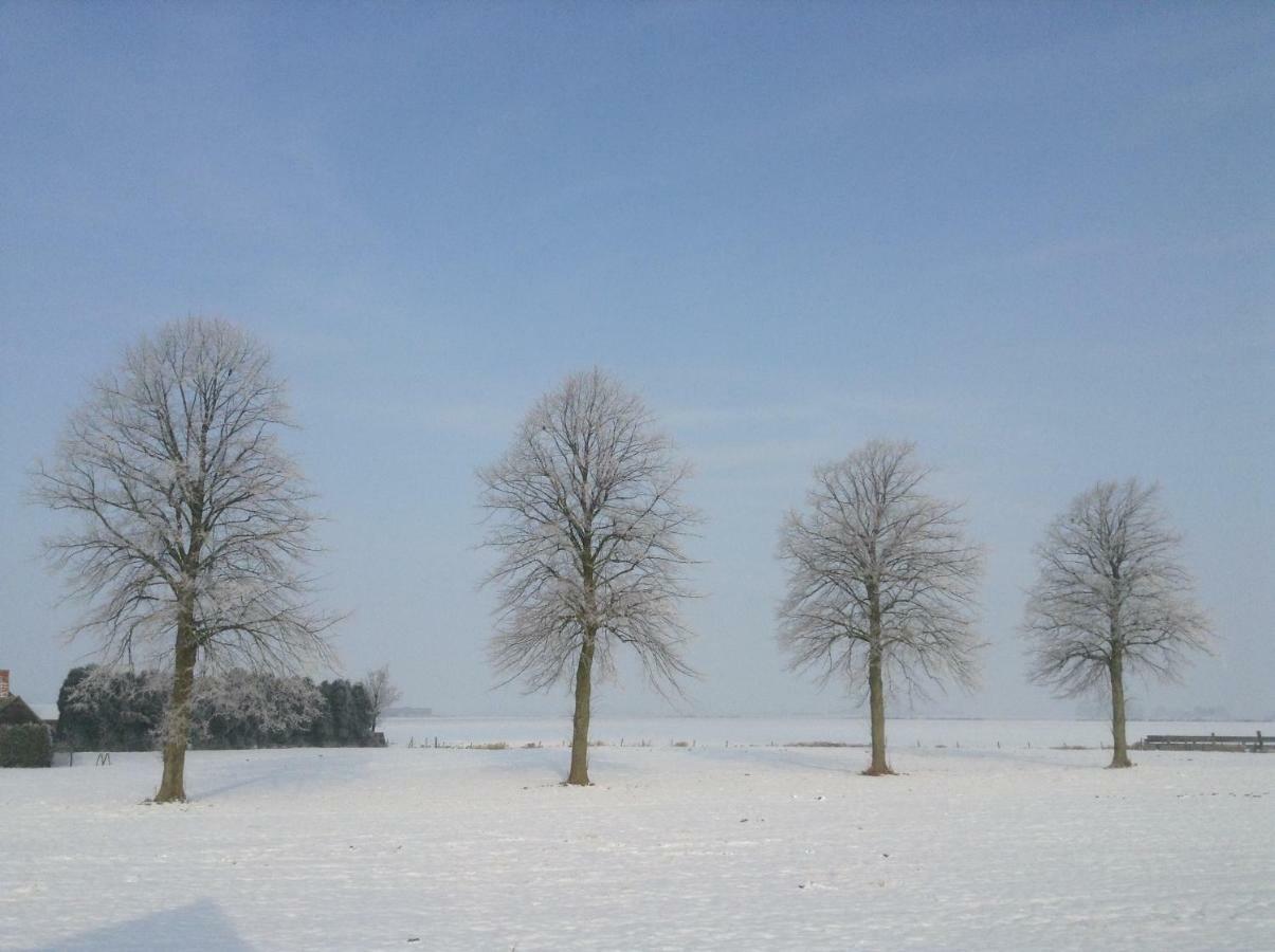 Artistiek Vakantiehuisje Hulst Exteriör bild